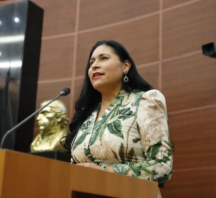 Satisfacción por balance positivo durante el último año en el Senado, expresa Ana Lilia Rivera